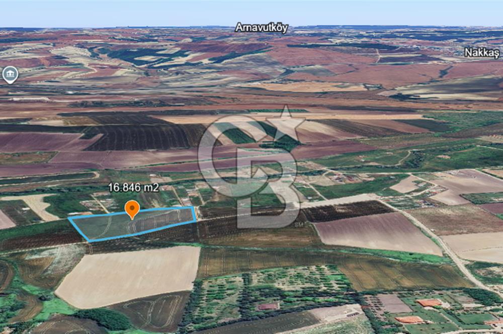 ÇATALCA KESTANELİK'TE 16.846 M² SATILIK TARLA