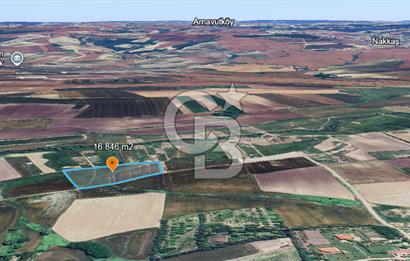 ÇATALCA KESTANELİK'TE 16.846 M² SATILIK TARLA