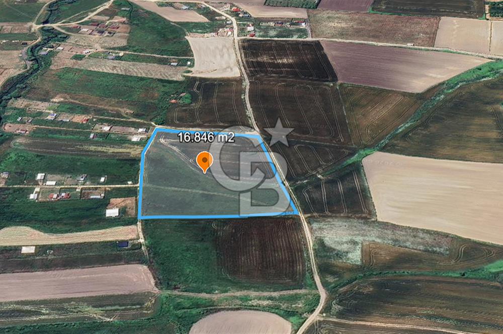 ÇATALCA KESTANELİK'TE 16.846 M² SATILIK TARLA
