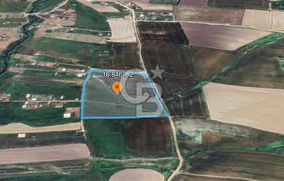 ÇATALCA KESTANELİK'TE 16.846 M² SATILIK TARLA