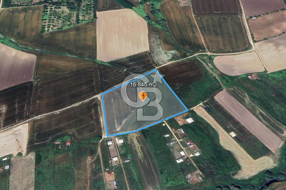 ÇATALCA KESTANELİK'TE 16.846 M² SATILIK TARLA