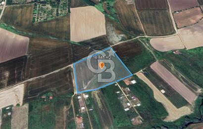 ÇATALCA KESTANELİK'TE 16.846 M² SATILIK TARLA