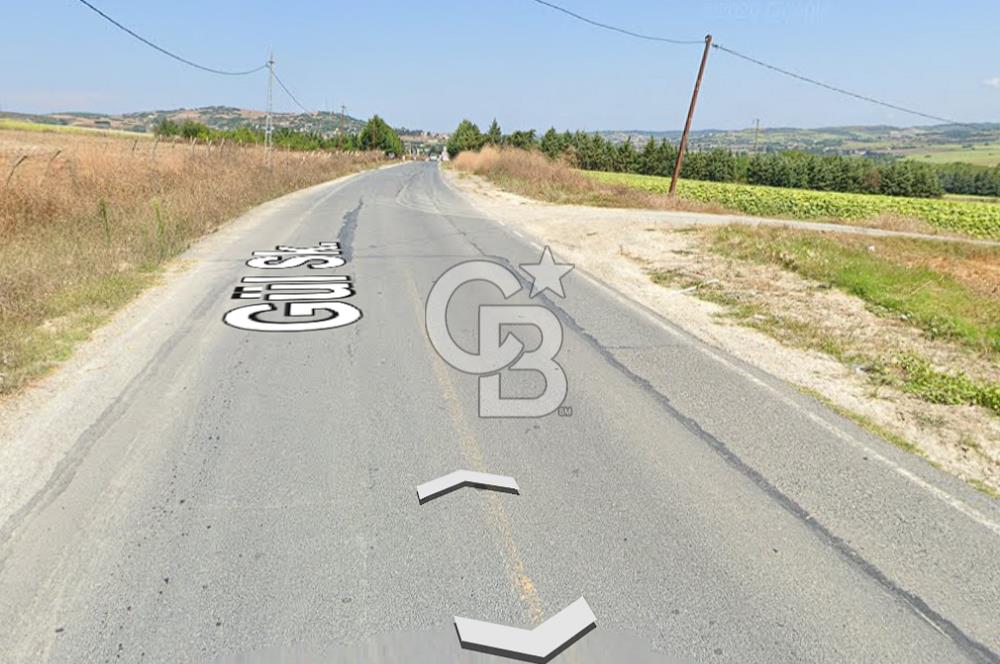 ÇATALCA KESTANELİK'TE 16.846 M² SATILIK TARLA