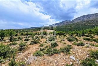 Serinhisar Şaireşref de 593 M² 2 Kat %40 İmarlı Satılık Arsa - 3 - 352327