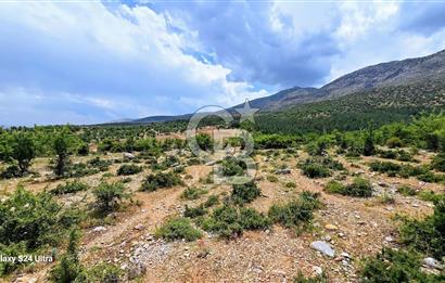 Serinhisar Şaireşref de 593 M² 2 Kat %40 İmarlı Satılık Arsa