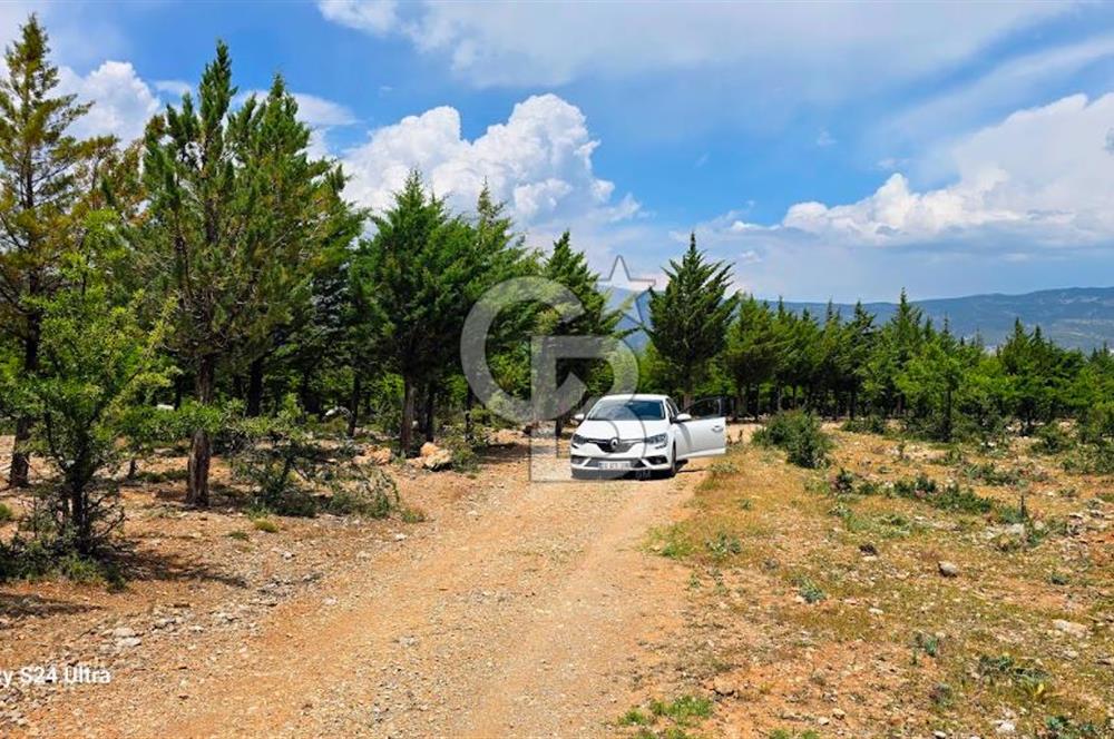 Serinhisar Şaireşref de 593 M² 2 Kat %40 İmarlı Satılık Arsa