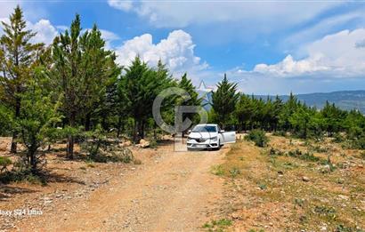 Serinhisar Şaireşref de 593 M² 2 Kat %40 İmarlı Satılık Arsa