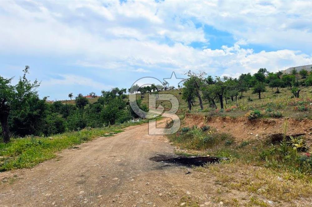 Serinhisar Şaireşref de 593 M² 2 Kat %40 İmarlı Satılık Arsa