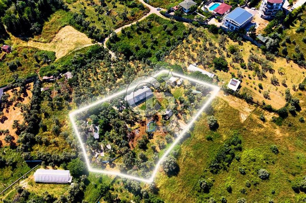 Kocaeli Darıca Bağlarbaşı Mah Eşsiz Deniz Manzaralı Villa Arsası