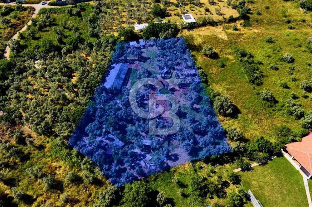 Kocaeli Darıca Bağlarbaşı Mah Eşsiz Deniz Manzaralı Villa Arsası