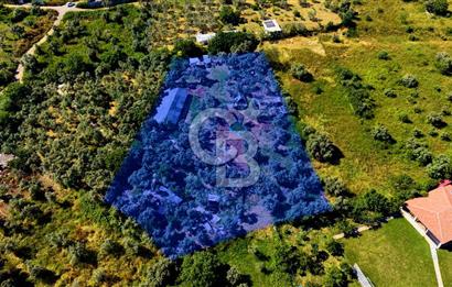 Kocaeli Darıca Bağlarbaşı Mah Eşsiz Deniz Manzaralı Villa Arsası