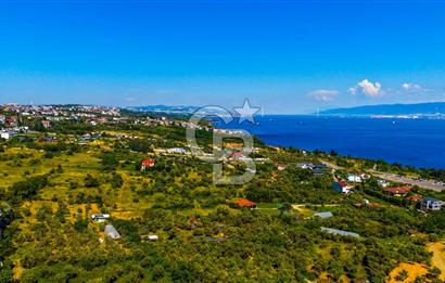 Kocaeli Darıca Bağlarbaşı Mah Eşsiz Deniz Manzaralı Villa Arsası