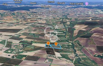 ÇATALCA KESTANELİK'TE 8.467 M² SATILIK TARLA