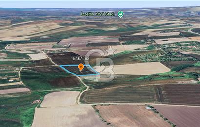 ÇATALCA KESTANELİK'TE 8.467 M² SATILIK TARLA
