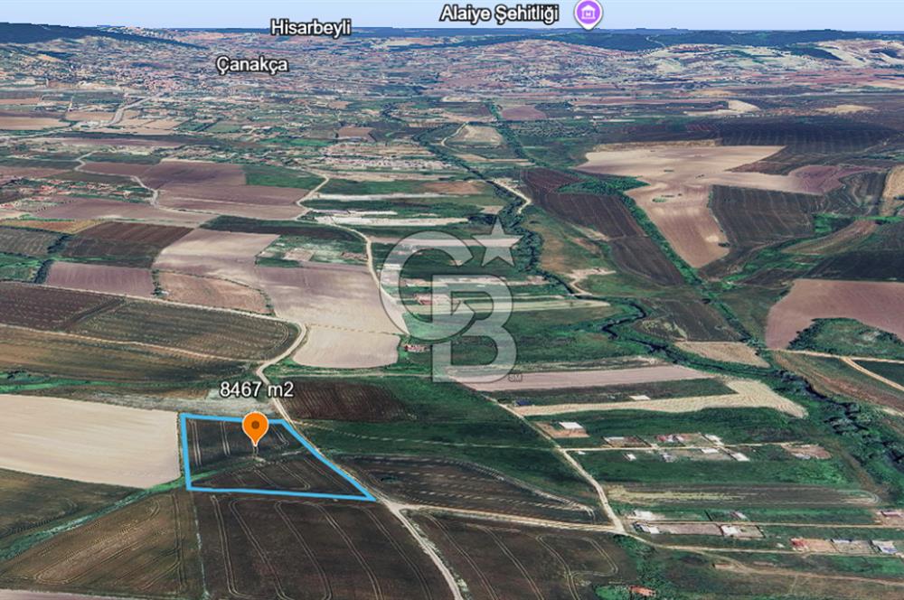 ÇATALCA KESTANELİK'TE 8.467 M² SATILIK TARLA