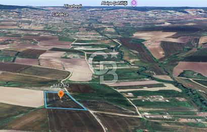ÇATALCA KESTANELİK'TE 8.467 M² SATILIK TARLA