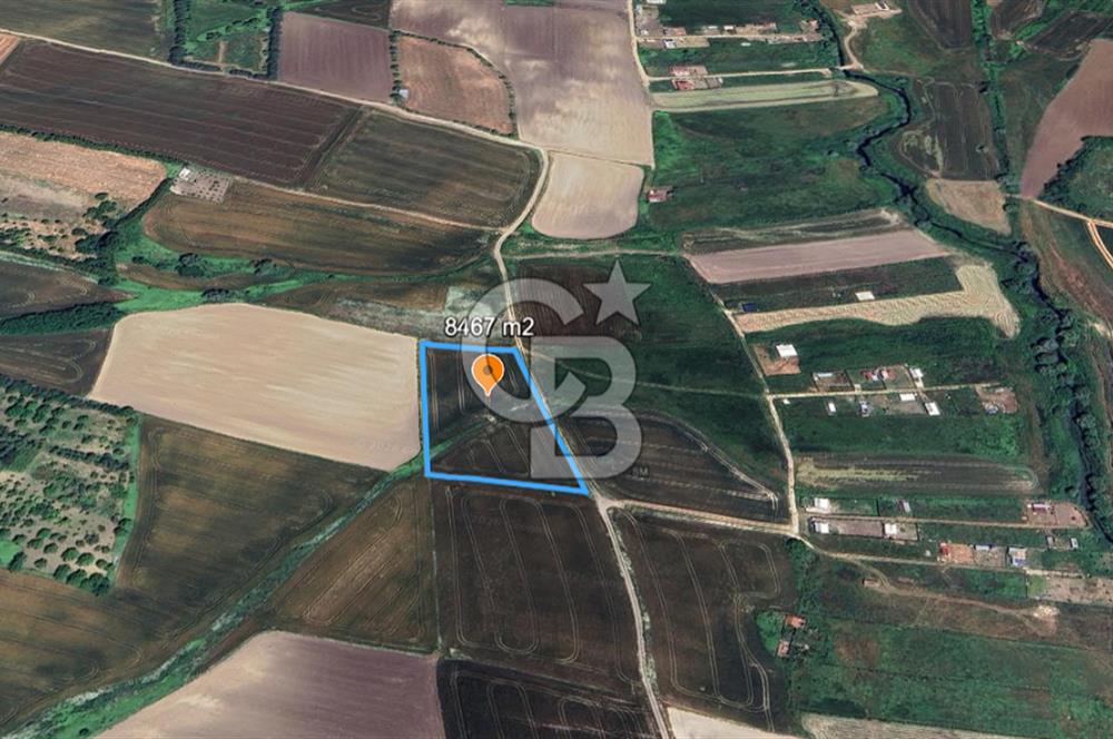 ÇATALCA KESTANELİK'TE 8.467 M² SATILIK TARLA