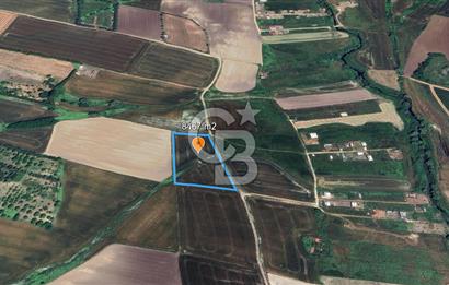 ÇATALCA KESTANELİK'TE 8.467 M² SATILIK TARLA