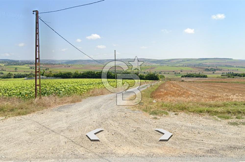 ÇATALCA KESTANELİK'TE 8.467 M² SATILIK TARLA