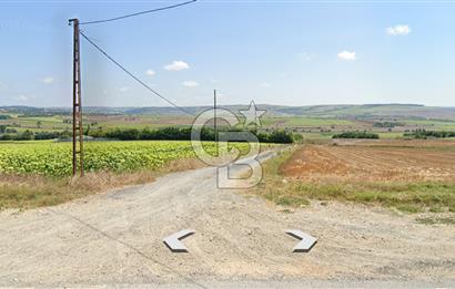 ÇATALCA KESTANELİK'TE 8.467 M² SATILIK TARLA