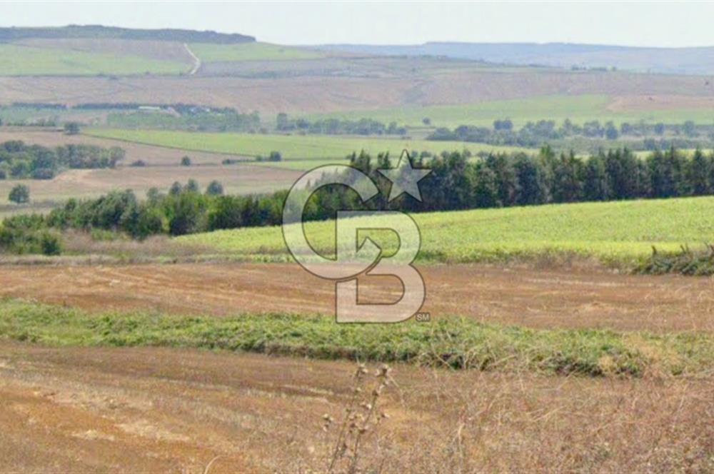 ÇATALCA KESTANELİK'TE 8.467 M² SATILIK TARLA