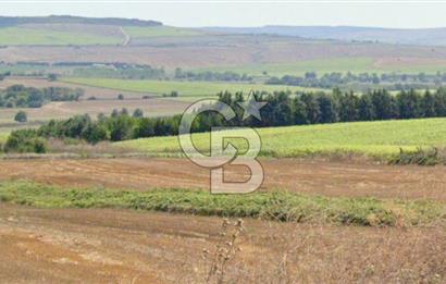 ÇATALCA KESTANELİK'TE 8.467 M² SATILIK TARLA