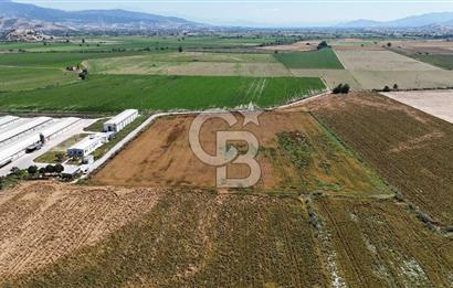 Tire Eğriazmak Mevkii Satılık 24 Dekar Verimli Tarla
