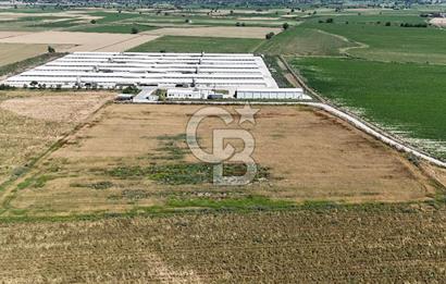 Tire Eğriazmak Mevkii Satılık 24 Dekar Verimli Tarla