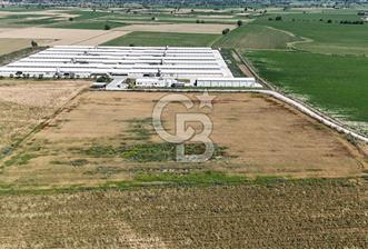 Tire Eğriazmak Mevkii Satılık 24 Dekar Verimli Tarla - 1 - 352341