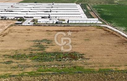 Tire Eğriazmak Mevkii Satılık 24 Dekar Verimli Tarla