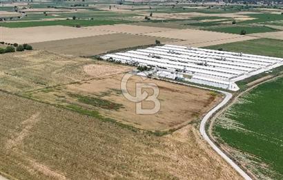 Tire Eğriazmak Mevkii Satılık 24 Dekar Verimli Tarla