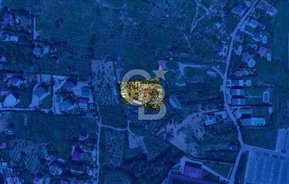 Kocaeli Darıca Bağlarbaşı Mah Eşsiz Deniz Manzaralı Villa Arsası