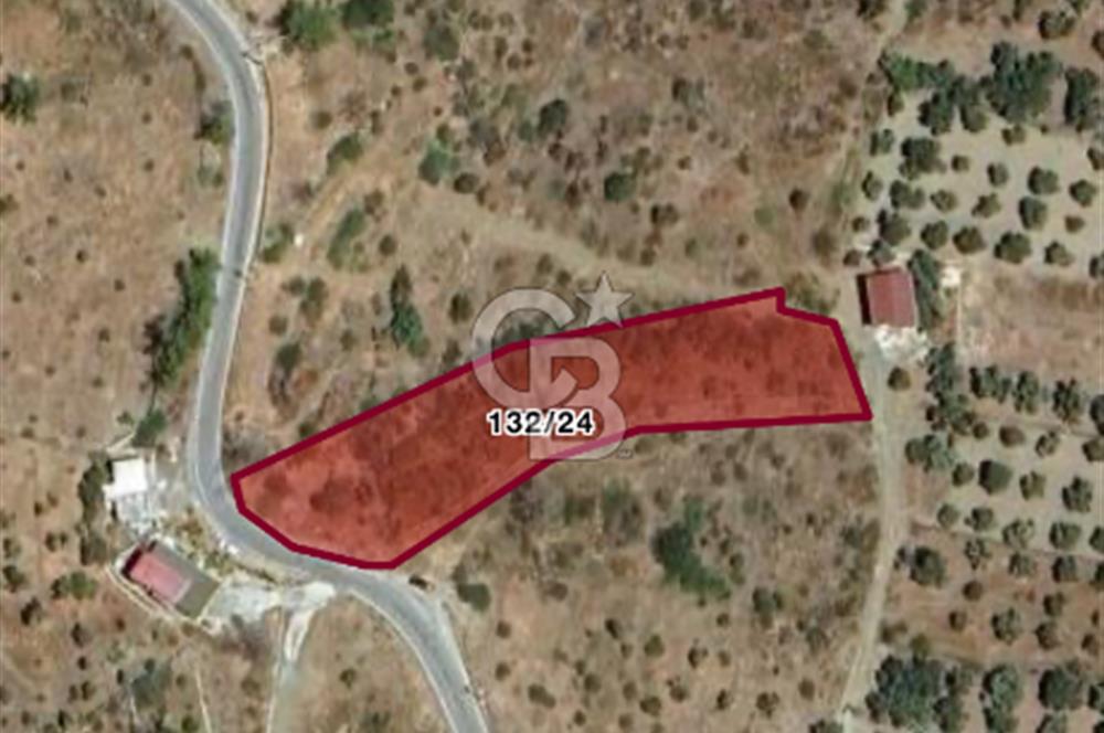 MUĞLA BODRUM YALI MAZIKÖY MAH. 2355 M2 TARLA SATILIK