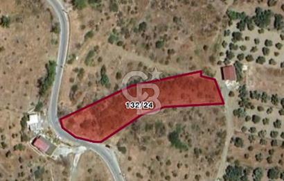 MUĞLA BODRUM YALI MAZIKÖY MAH. 2355 M2 TARLA SATILIK