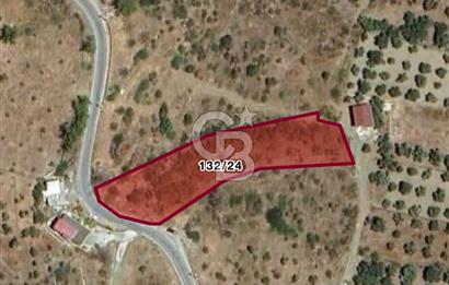 MUĞLA BODRUM YALI MAZIKÖY MAH. 2355 M2 TARLA SATILIK