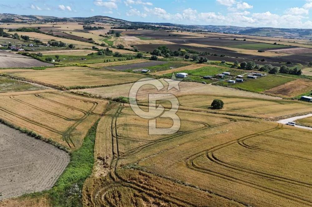 ÇATALCA KESTANELİK'TE 16.846 M² SATILIK TARLA