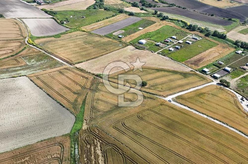 ÇATALCA KESTANELİK'TE 16.846 M² SATILIK TARLA