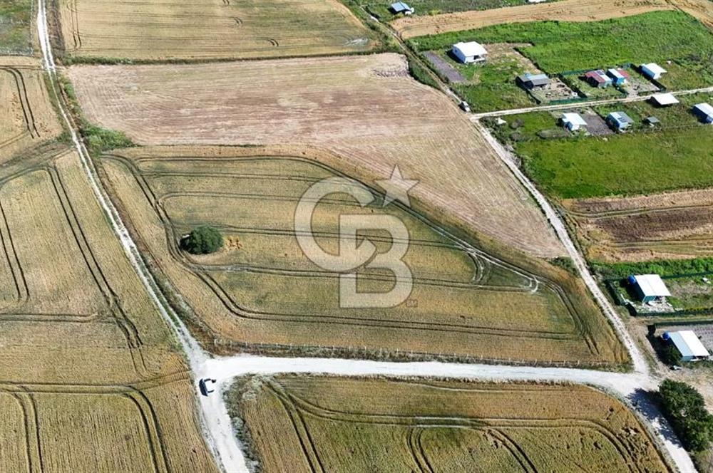 ÇATALCA KESTANELİK'TE 16.846 M² SATILIK TARLA