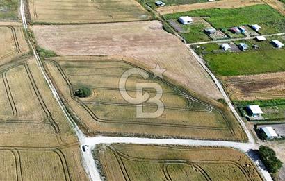 ÇATALCA KESTANELİK'TE 16.846 M² SATILIK TARLA