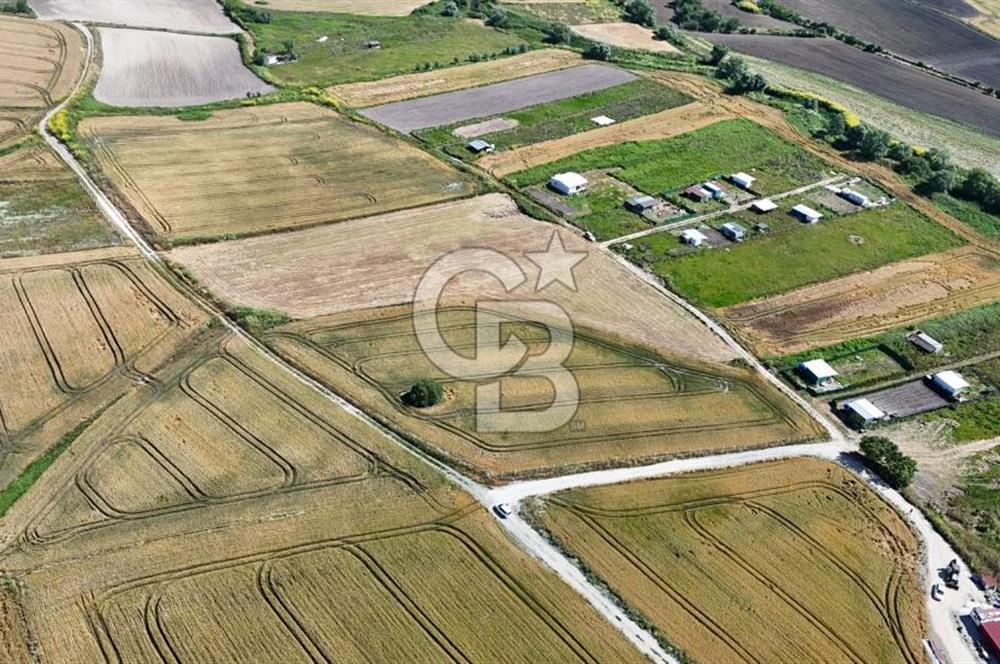 ÇATALCA KESTANELİK'TE 16.846 M² SATILIK TARLA