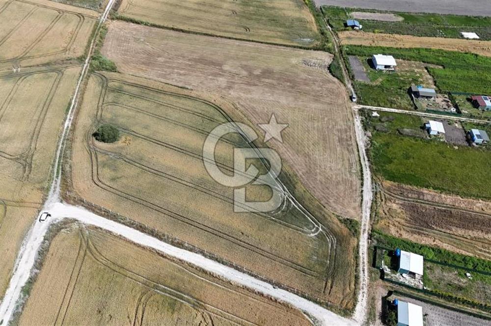 ÇATALCA KESTANELİK'TE 16.846 M² SATILIK TARLA
