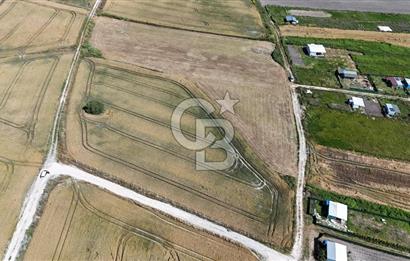 ÇATALCA KESTANELİK'TE 16.846 M² SATILIK TARLA
