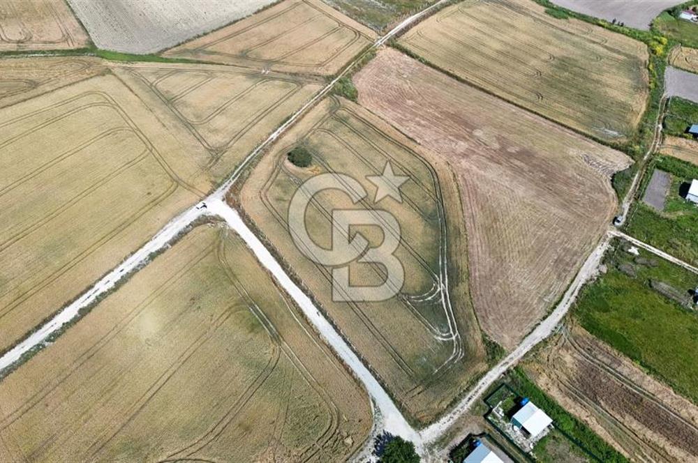 ÇATALCA KESTANELİK'TE 16.846 M² SATILIK TARLA