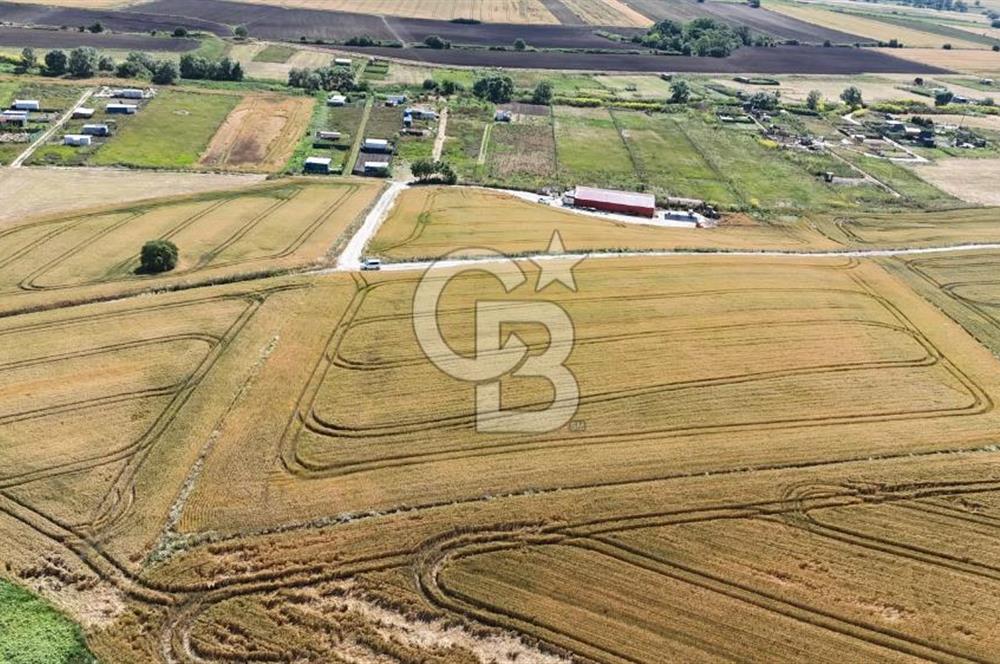 ÇATALCA KESTANELİK'TE 8.467 M² SATILIK TARLA