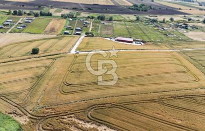 ÇATALCA KESTANELİK'TE 8.467 M² SATILIK TARLA