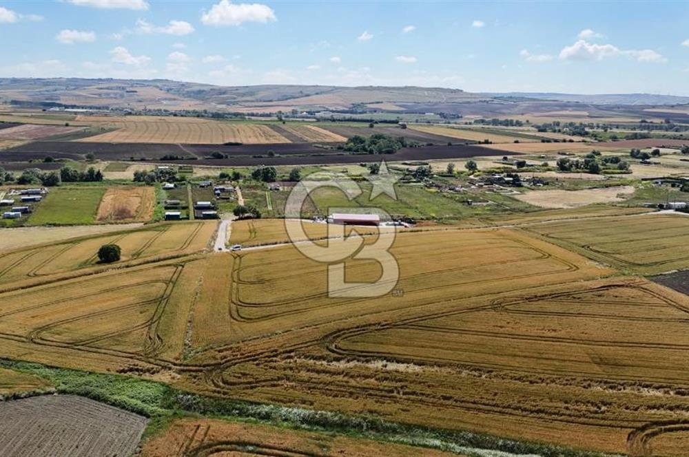 ÇATALCA KESTANELİK'TE 8.467 M² SATILIK TARLA