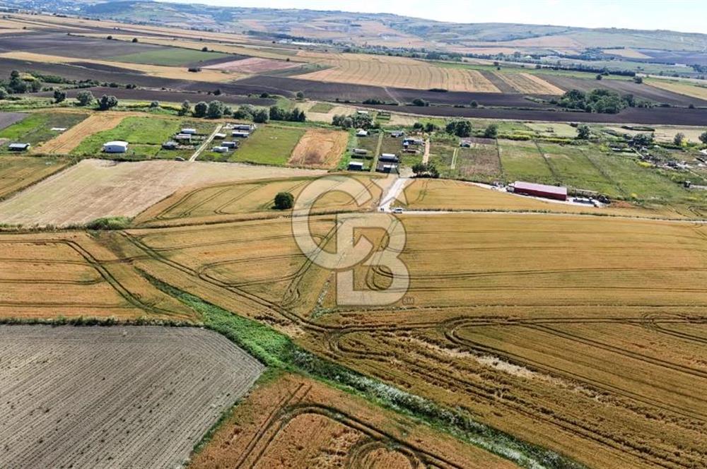 ÇATALCA KESTANELİK'TE 8.467 M² SATILIK TARLA