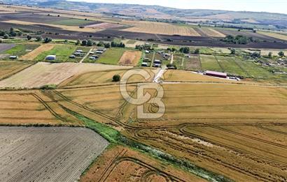 ÇATALCA KESTANELİK'TE 8.467 M² SATILIK TARLA