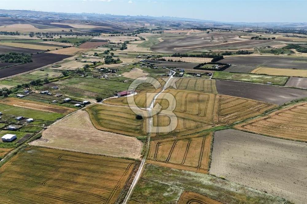 ÇATALCA KESTANELİK'TE 8.467 M² SATILIK TARLA