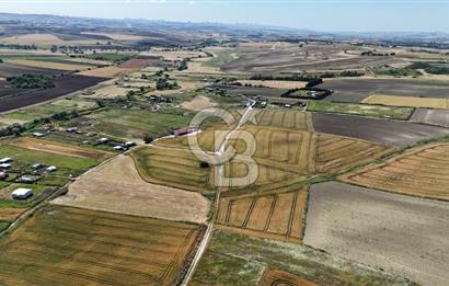 ÇATALCA KESTANELİK'TE 8.467 M² SATILIK TARLA